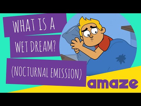 What is a Wet Dream? (Nocturnal Emission)