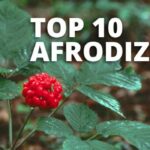 10 najlepších prírodných afrodiziák na svete