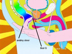 Mužský bod G a jeho stimulácia cez análny otvor