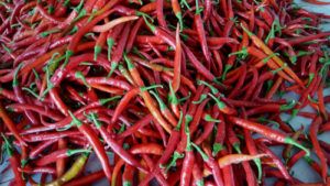 Chilli papričky účinné afrodiziakum