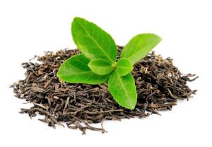 Zelený čaj - čajovník čínsky, nefermentované listy