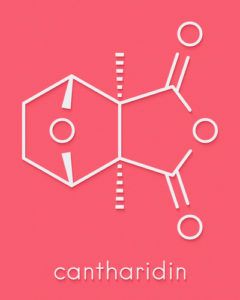Kantaridín - molekula, vzorec
