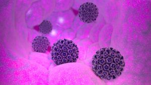 Ľudský papilomavírus HPV - pôvodca genitálnych bradavíc